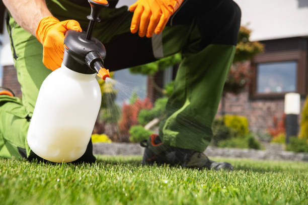 Best Organic or Eco-Friendly Pest Control  in Stedman, NC